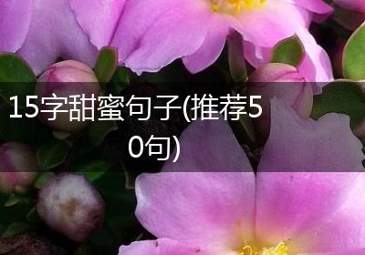 15字甜蜜句子(推荐50句)