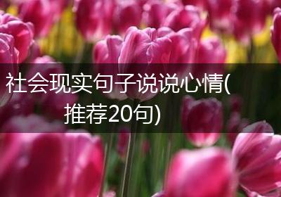 社会现实句子说说心情(推荐20句)