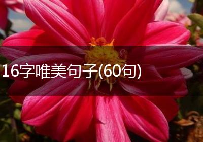 16字唯美句子(60句)