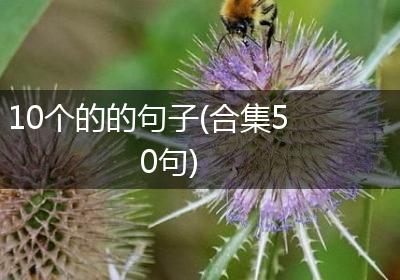10个的的句子(合集50句)