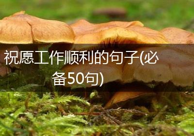 祝愿工作顺利的句子(必备50句)