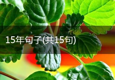 15年句子(共15句)