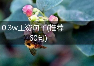 0.3w工资句子(推荐60句)