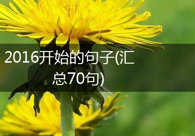 2016开始的句子(汇总70句)