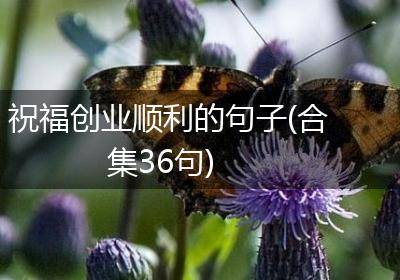 祝福创业顺利的句子(合集36句)