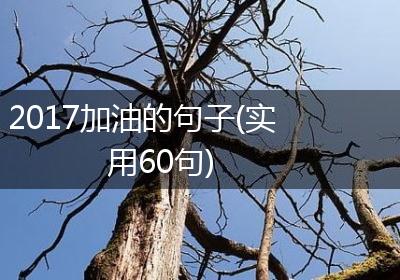 2017加油的句子(实用60句)