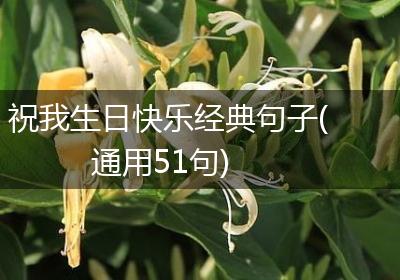 祝我生日快乐经典句子(通用51句)