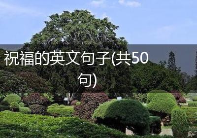祝福的英文句子(共50句)