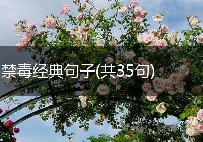 禁毒经典句子(共35句)