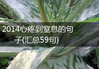 2014心疼到窒息的句子(汇总59句)