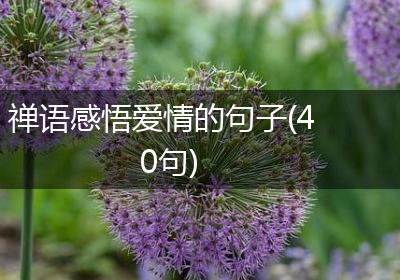 禅语感悟爱情的句子(40句)