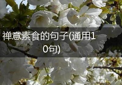 禅意素食的句子(通用10句)