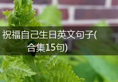 祝福自己生日英文句子(合集15句)