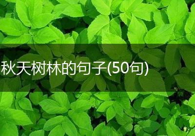 秋天树林的句子(50句)