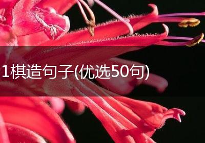 1棋造句子(优选50句)