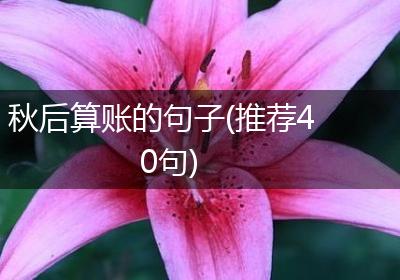 秋后算账的句子(推荐40句)