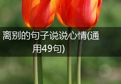 离别的句子说说心情(通用49句)