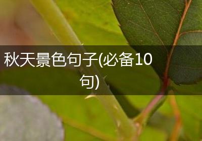 秋天景色句子(必备10句)