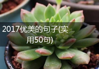 2017优美的句子(实用50句)