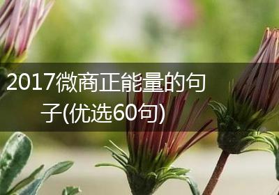 2017微商正能量的句子(优选60句)