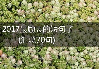 2017最励志的短句子(汇总70句)