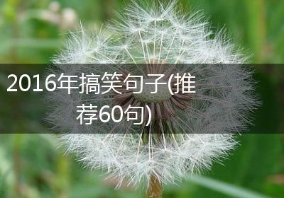2016年搞笑句子(推荐60句)