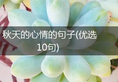 秋天的心情的句子(优选10句)