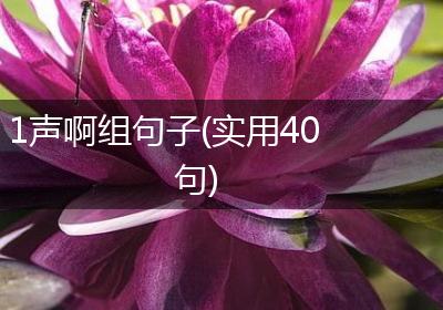 1声啊组句子(实用40句)