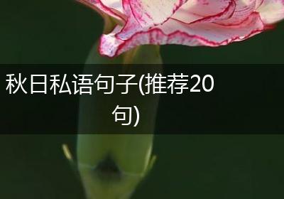 秋日私语句子(推荐20句)