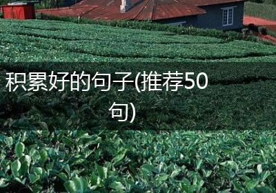 积累好的句子(推荐50句)