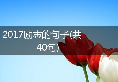 2017励志的句子(共40句)