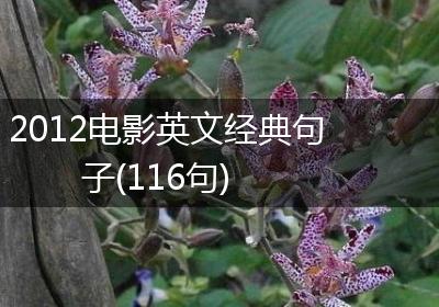 2012电影英文经典句子(116句)
