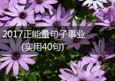 2017正能量句子事业(实用40句)