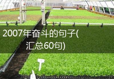 2007年奋斗的句子(汇总60句)