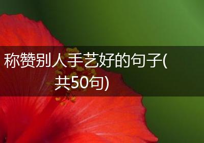 称赞别人手艺好的句子(共50句)