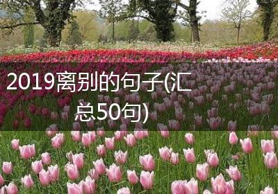 2019离别的句子(汇总50句)