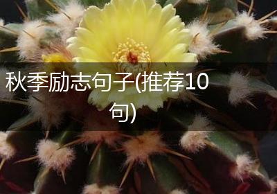 秋季励志句子(推荐10句)