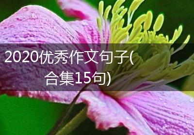 2020优秀作文句子(合集15句)
