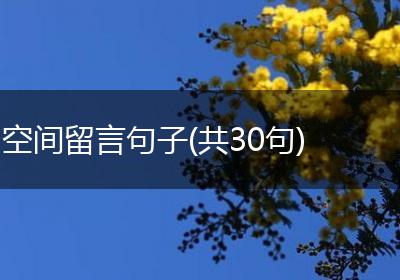 空间留言句子(共30句)