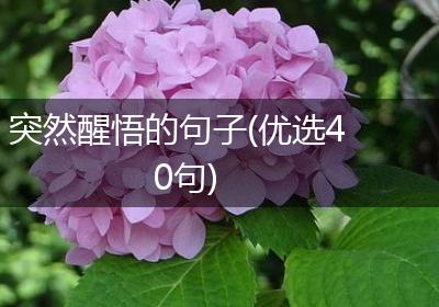 突然醒悟的句子(优选40句)