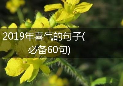 2019年喜气的句子(必备60句)
