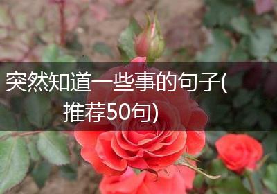 突然知道一些事的句子(推荐50句)