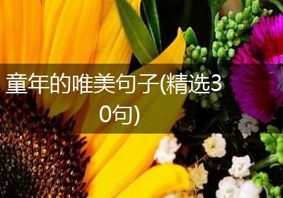 童年的唯美句子(精选30句)