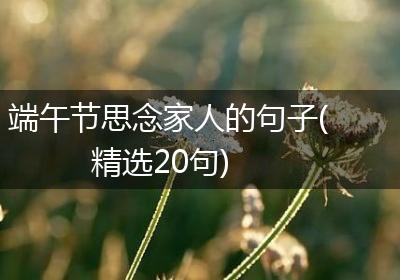 端午节思念家人的句子(精选20句)