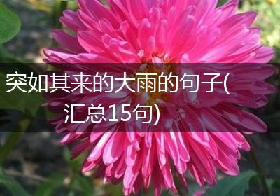 突如其来的大雨的句子(汇总15句)
