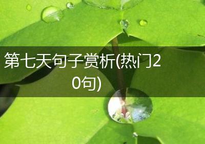 第七天句子赏析(热门20句)