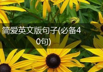 简爱英文版句子(必备40句)