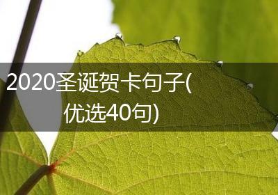 2020圣诞贺卡句子(优选40句)