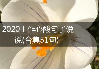 2020工作心酸句子说说(合集51句)