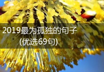 2019最为孤独的句子(优选69句)